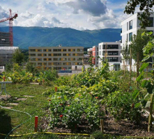 Ecoquartier Les Vergers