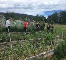 Ensemble Bot Jardins